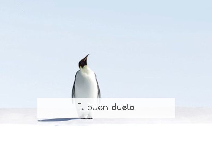 El buen duelo