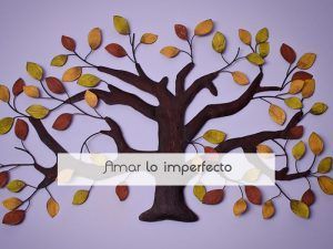 Amar lo imperfecto