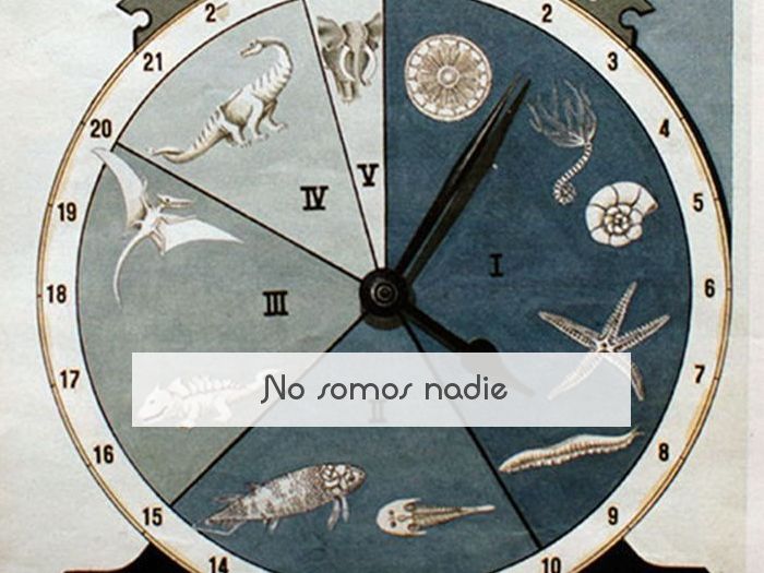 No somos nadie