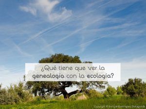 ¿Qué tiene que ver la genealogía con la ecología?