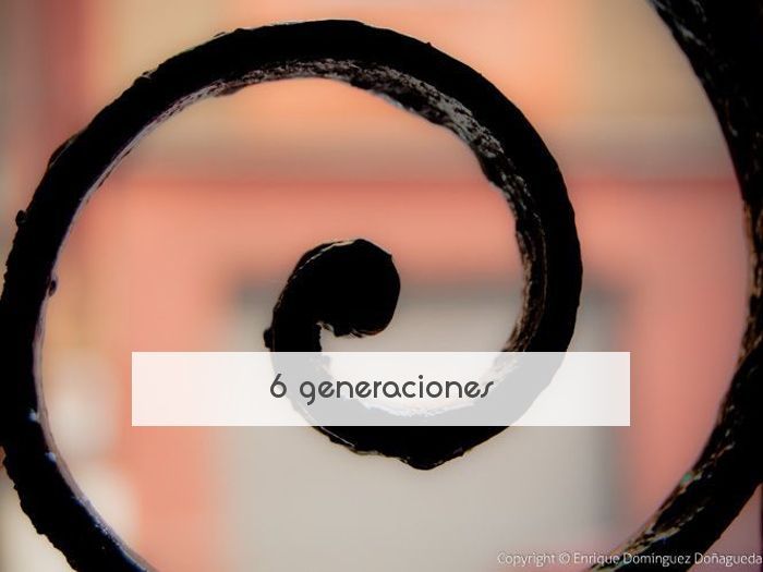 6 generaciones