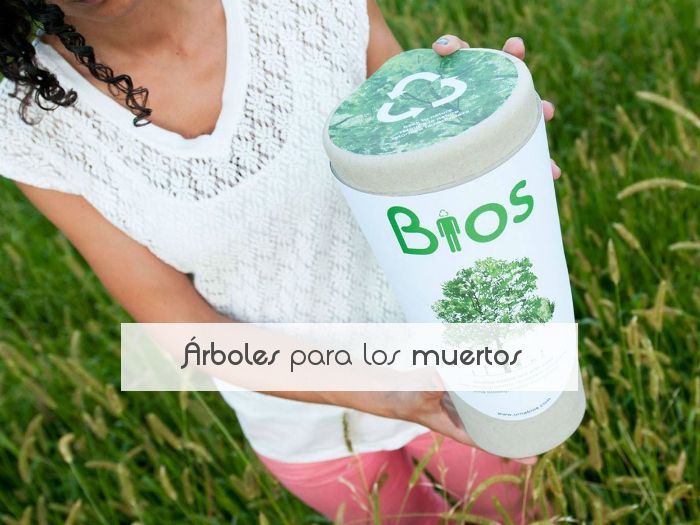 Árboles para los muertos