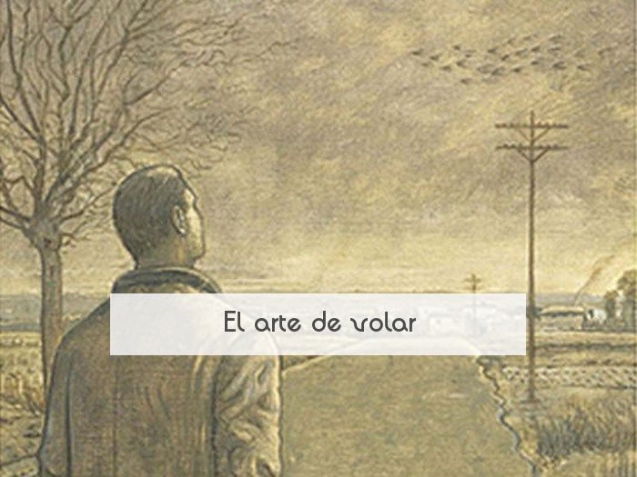 El arte de volar