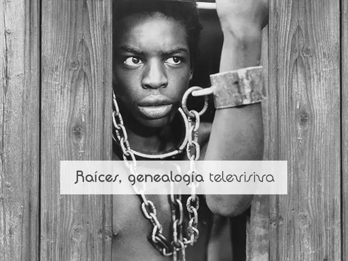 Raíces, genealogía televisiva