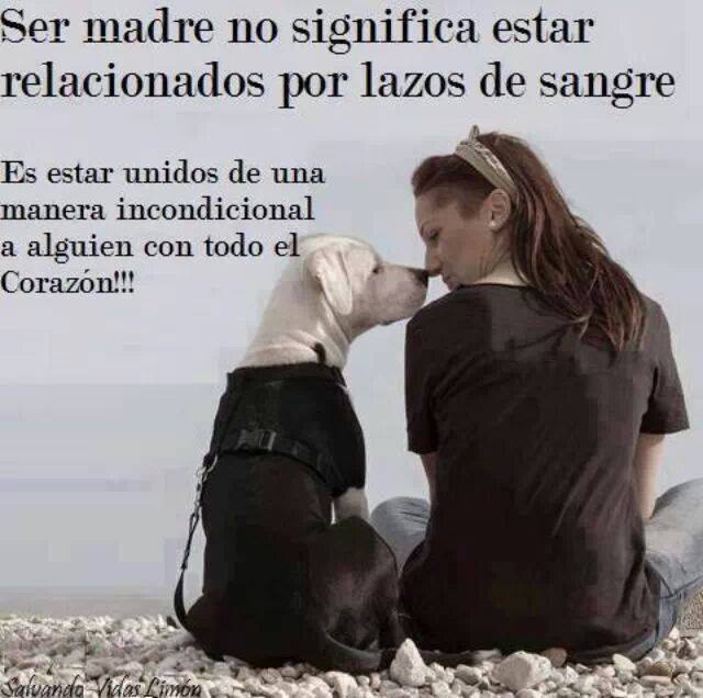 ser_madre_no_signfica_estar_relacionados_por_lazos_de_sangre