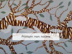 Primum non nocere Primum non nocere