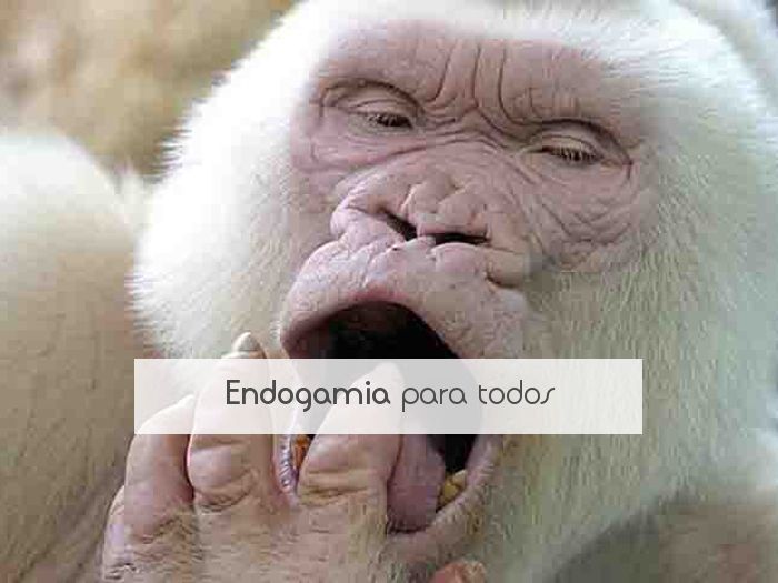 Endogamia para todos