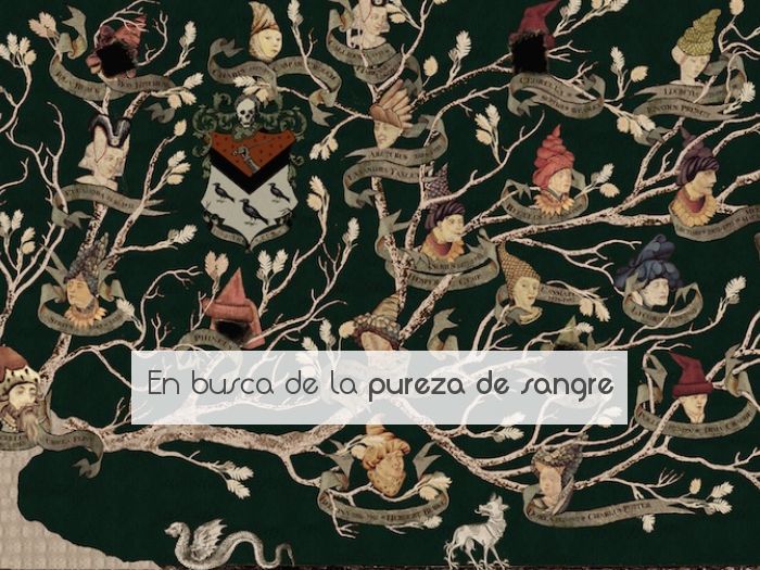 En busca de la pureza de sangre