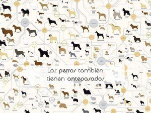 Los perros también tienen antepasados