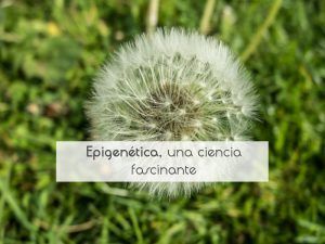 Epigenética, una ciencia fascinante