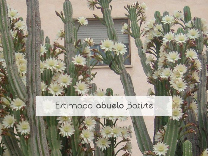 Estimado abuelo Batiste