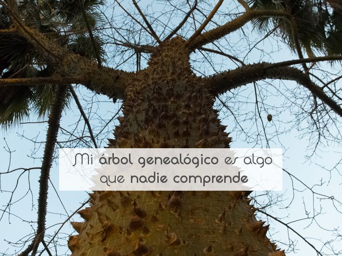 Mi árbol genealógico es algo que nadie comprende