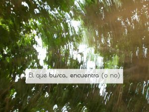 El que busca, encuentra (o no) El que busca, encuentra (o no)