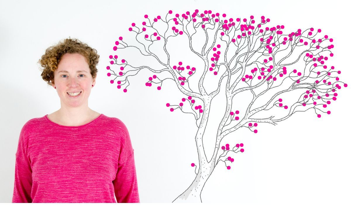 tataranietos árbol genealógico