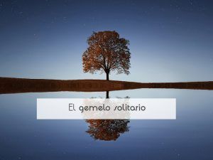 El gemelo solitario