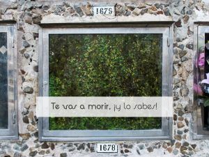 Te vas a morir, ¡y lo sabes!