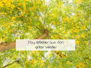Hay árboles que dan gritos verdes
