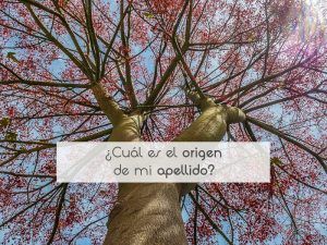 ¿Cuál es el origen de mi apellido?