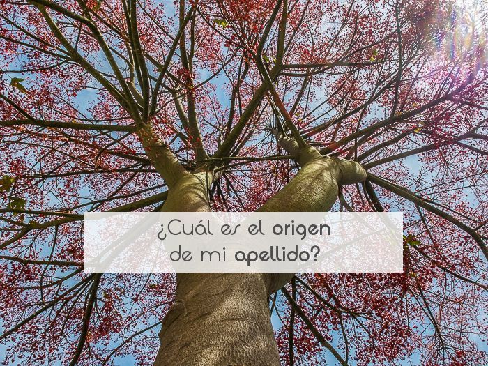 ¿Cuál es el origen de mi apellido?