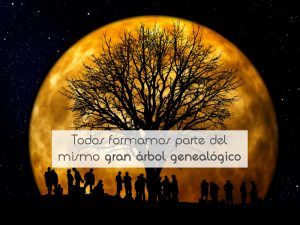 Todos formamos parte del mismo gran árbol genealógico