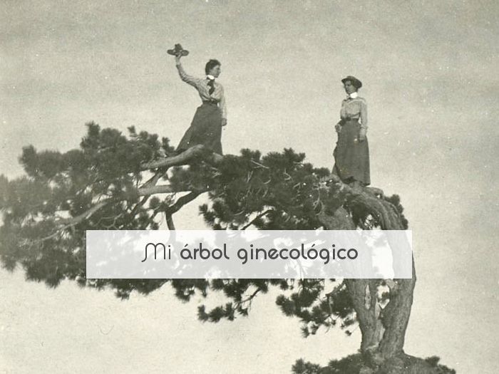 Mi árbol ginecológico