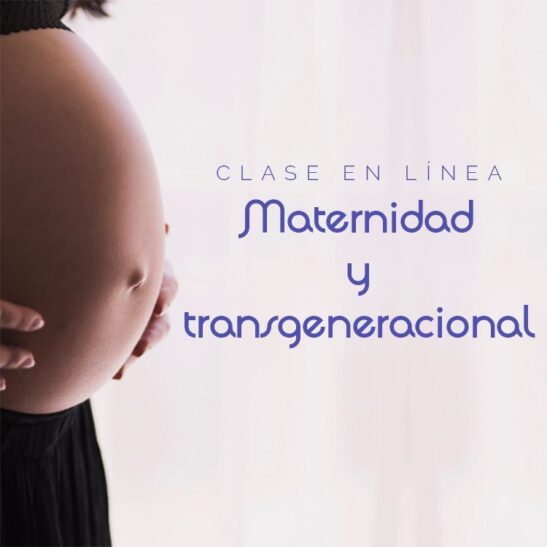 Clase en línea Maternidad y transgeneracional