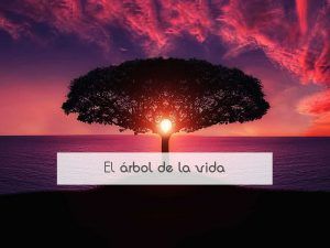 El árbol de la vida