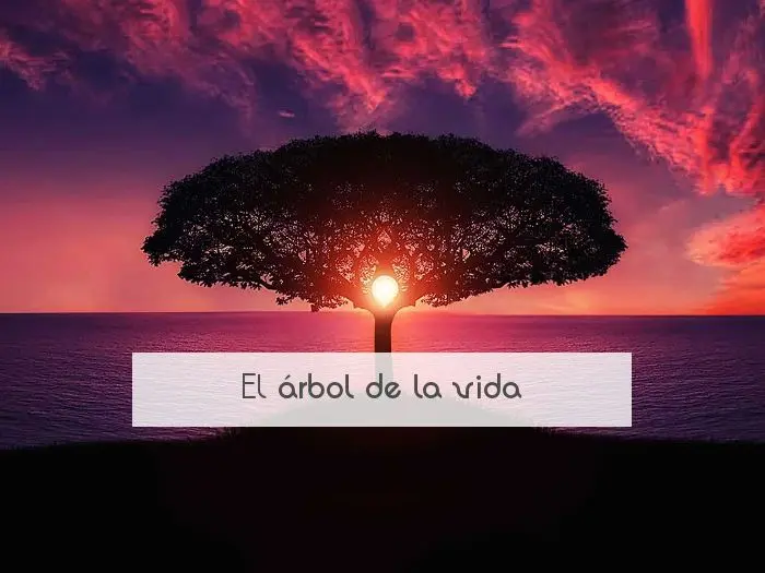 El Arbol De La Vida Logo El Verdadero Significado Del árbol De La