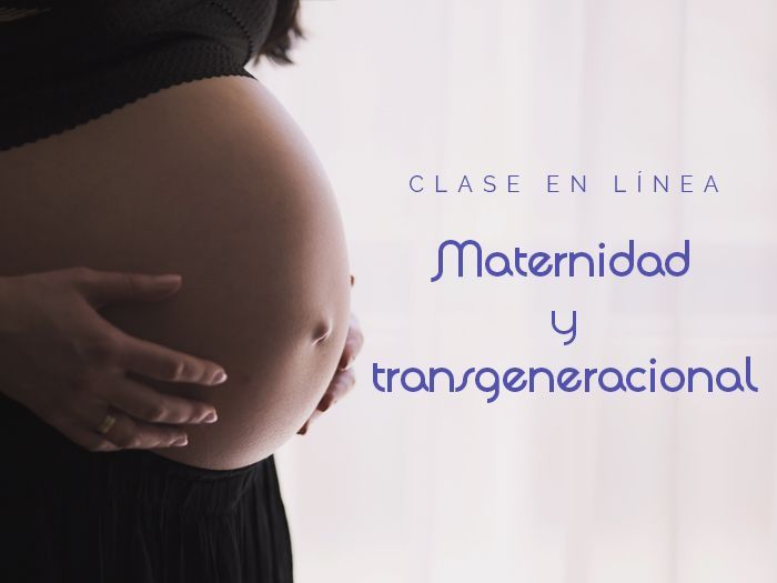 Clase en línea "Maternidad y transgeneracional"