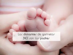 Los donantes de gametos NO son los padres Los donantes de gametos NO son los padres