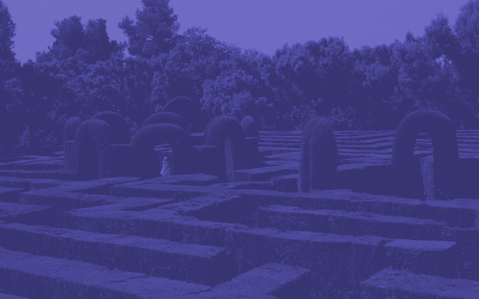 Mireia Nieto tataranietos genealogía viva