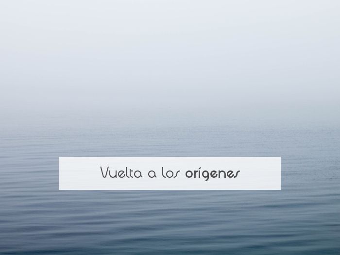 Vuelta a los orígenes