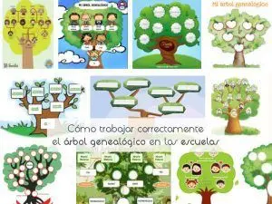 Cómo trabajar correctamente el árbol genealógico en las escuelas arbol genealógico escuelas