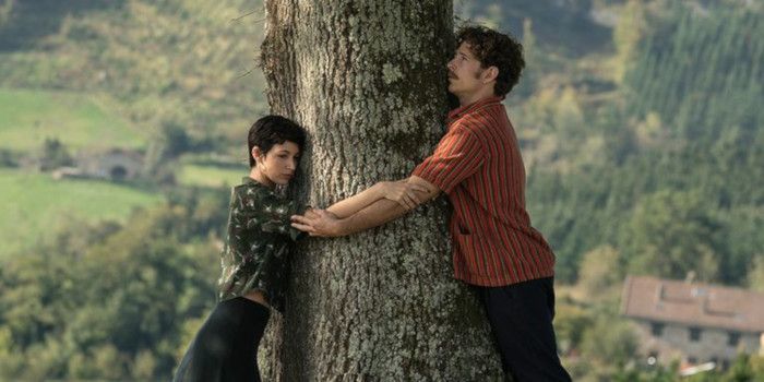 El árbol de la sangre