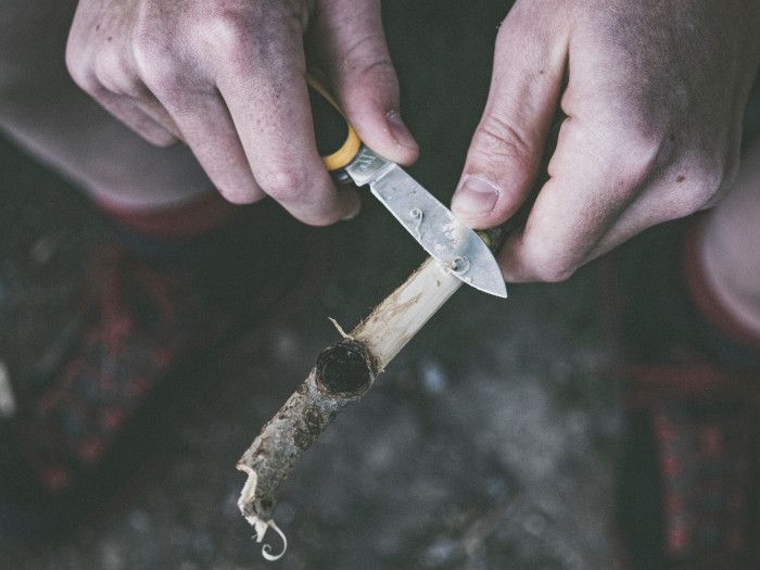 ¿Por qué lo llaman árbol genealógico cuando quieren decir rama genealógica?