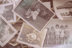 genealogia viva constelaciones familiares