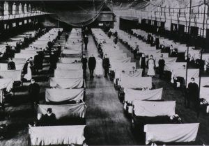 genealogia pandemia
