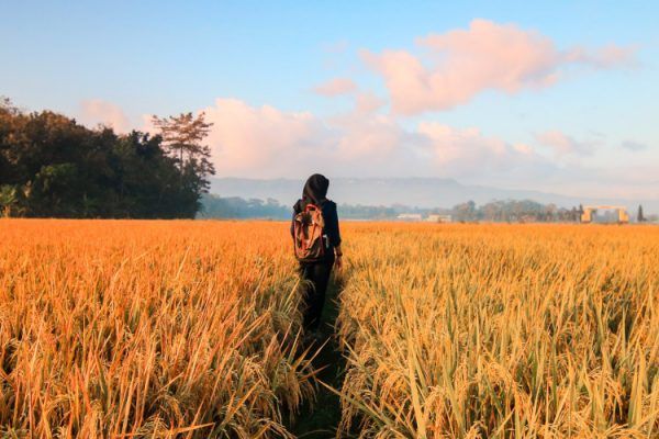 ¿Has hecho ya turismo genealógico?