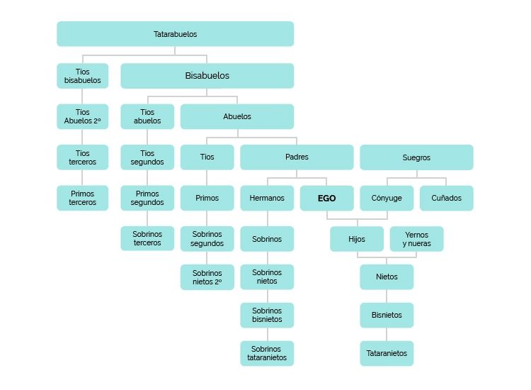 Términos de parentesco