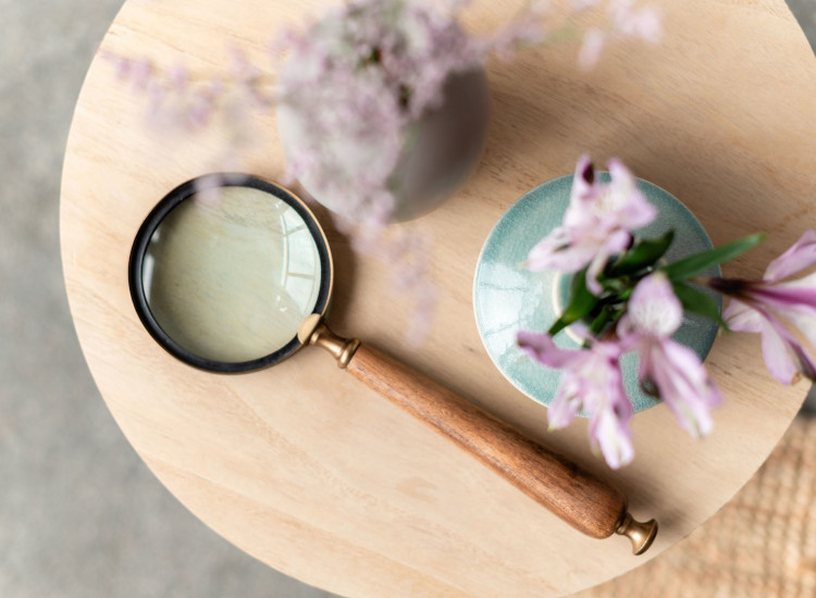 5 prejucios sobre los genealogistas