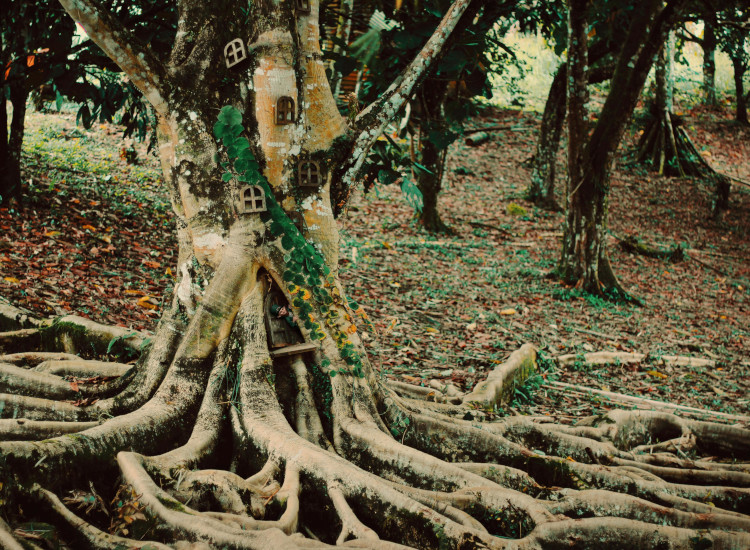 Raíces versus árbol genealógico